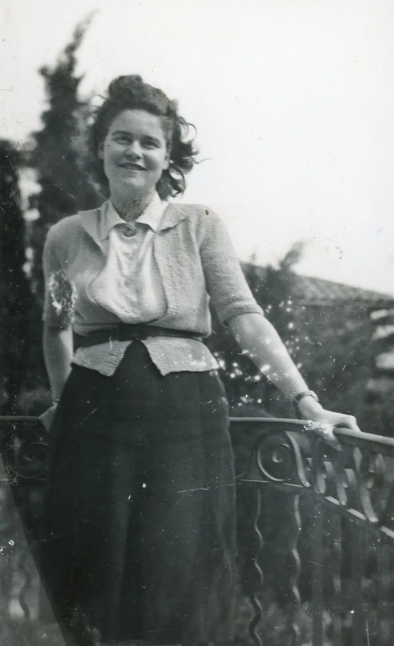 Archives de Montpellier, 41 Fi 1017