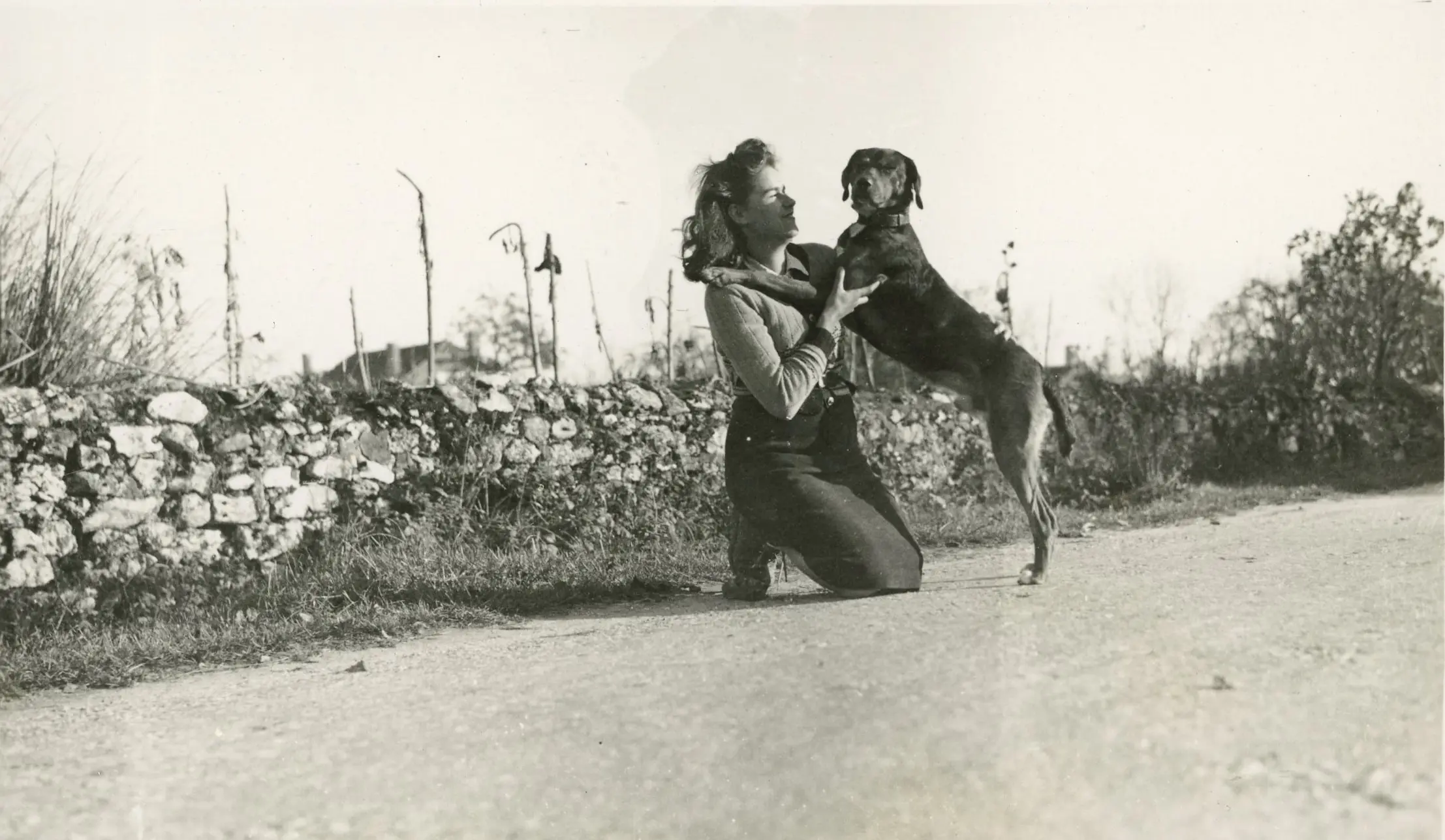 Archives de Montpellier, 41 Fi 1020