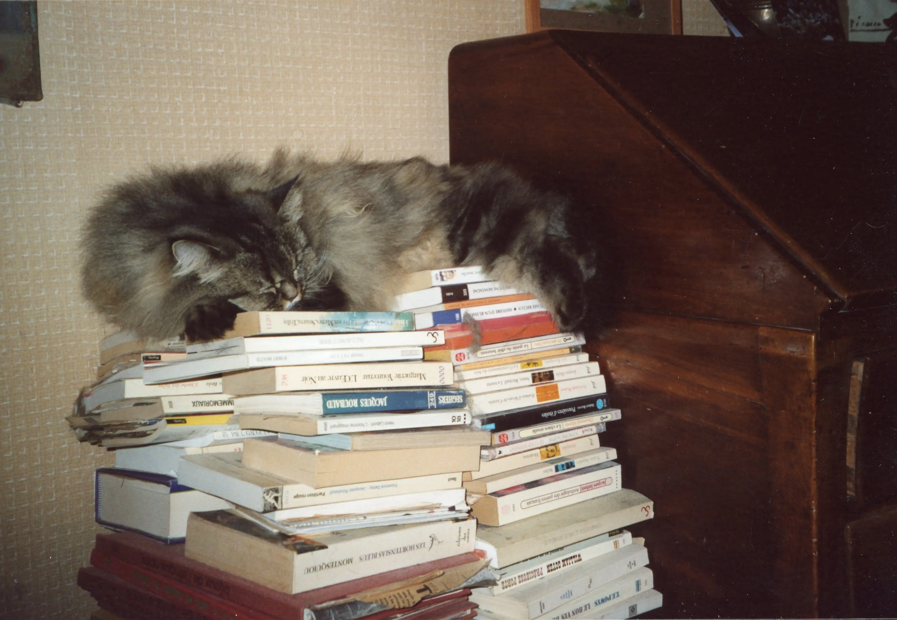 Archives de Montpellier, 41 Fi 1774