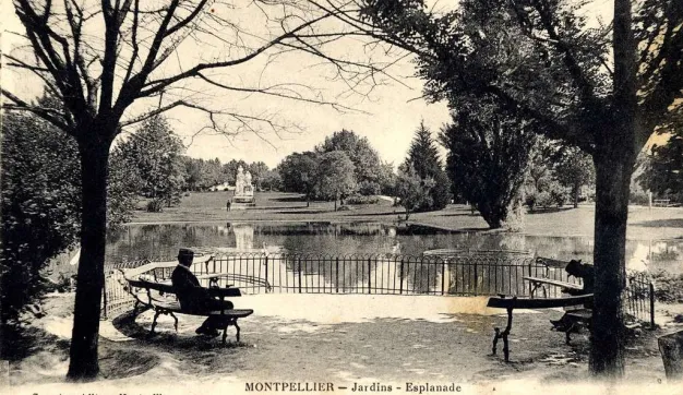 Archives de Montpellier 12fi88