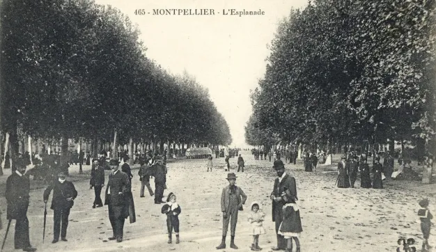 Archives de Montpellier 6fi1935