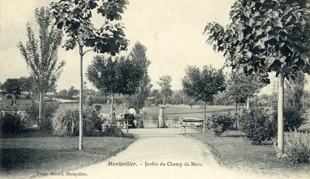 Archives de Montpellier 6fi1215