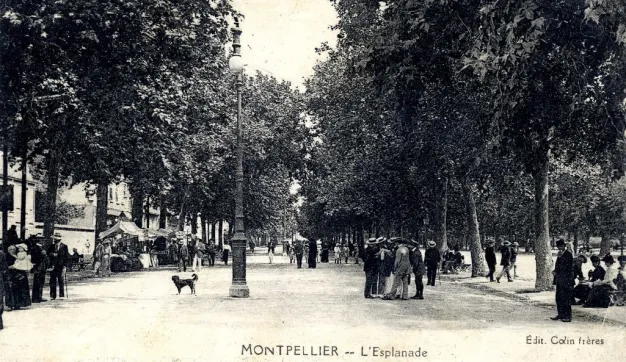 Archives de Montpellier 6fi583