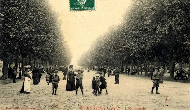 Archives de Montpellier 6fi894